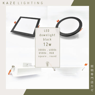 Feel Lite LED Downlight 12w (Black Frame)